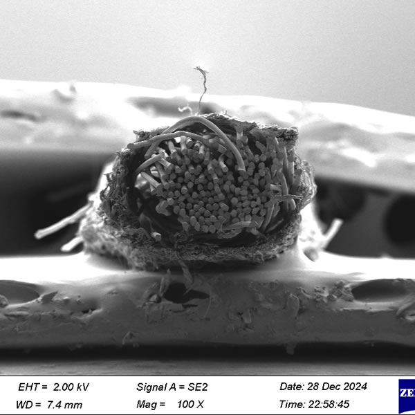 高分子材料的溶胀